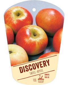 Malus domestica 'Discovery', Bildhängeetikett VS: