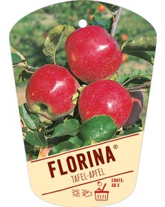 Malus domestica 'Florina', Bildhängeetikett VS: