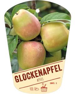Malus domestica 'Glockenapfel', Bildhängeetikett VS: