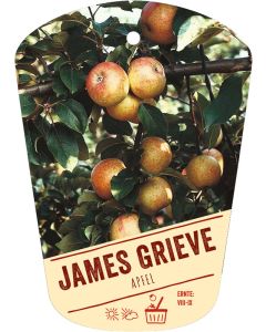 Malus domestica 'James Grieve', Bildhängeetikett VS: