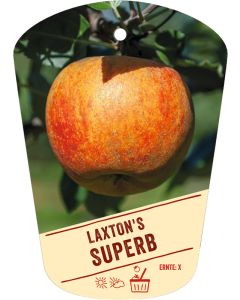 Malus domestica 'Laxton's Superb', Bildhängeetikett VS