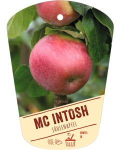Malus domestica 'Mc Intosh', Bildhängeetikett VS