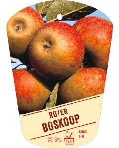 Malus domestica 'Roter Boskoop', Bildhängeetikett VS: