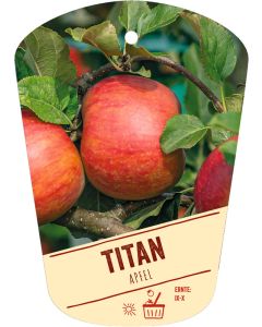 Malus domestica 'Titan', Bildhängeetikett VS