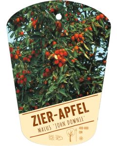 Malus 'John Downie', Bildhängeetikett VS