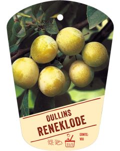 Prunus domestica 'Oullins Reneklode', Bildhängeetikett VS: