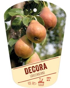 Pyrus communis 'Decora', Bildhängeetikett VS