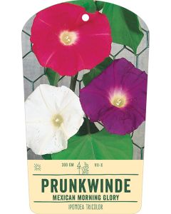 Bildhängeetikett Clipios - Ipomoea tricolor, 50 Stück je Bündel