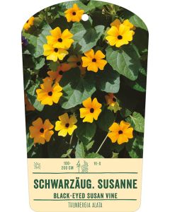 Bildhängeetikett Clipios - Thunbergia alata, 50 Stück je Bündel