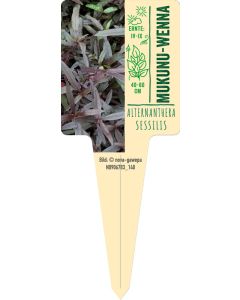 Alternanthera sessilis, Bildstecketikett VS