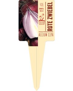 Allium cepa, Bildstecketikett VS