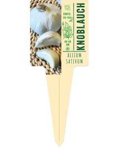 Allium sativum, Bildstecketikett VS: