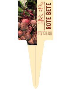 Beta vulgaris, Bildstecketikett VS: