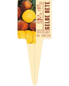 Beta Vulgaris Var. Conditiva VS