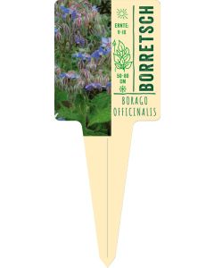 Borago officinalis, Bildstecketikett VS: