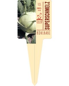 Brassica oler. var. gongylodes, Bildstecketikett VS