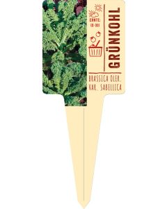 Brassica oler. var. sabellica, Bildstecketikett VS: