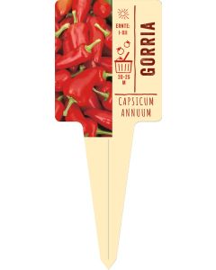 Capsicum Annuum 'Gorria' VS