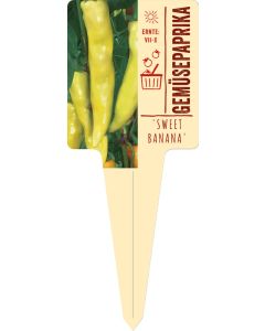 Capsicum annuum 'Sweet Banana', Bildstecketikett VS: