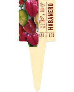 Capsicum chinense 'Habanero', Bildstecketikett VS