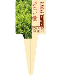 Cichorium endivia var. crispum, Bildstecketikett VS: