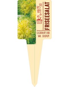 Cichorium endivia var. crispum, Bildstecketikett VS: