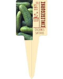 Cucumis sativus, Bildstecketikett VS