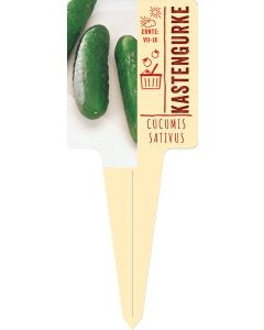 Cucumis sativus, Bildstecketikett VS: