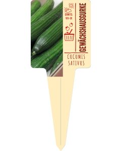 Cucumis sativus, Bildstecketikett VS: