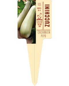 Cucurbita pepo, Bildstecketikett VS