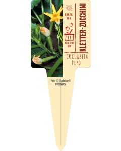 Cucurbita pepo subsp. pepo, Bildstecketikett VS: