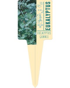 Eucalyptus gunnii, Bildstecketikett VS