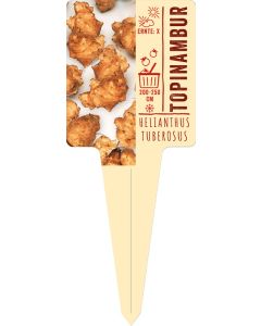 Helianthus tuberosus, Bildstecketikett VS: