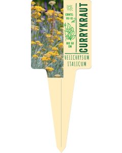 Helichrysum italicum, Bildstecketikett VS