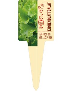 Lactuca sat. var. crispa, Bildstecketikett VS: