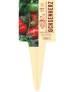Lycopersicon lyc. 'Ochsenherz', Bildstecketikett VS: