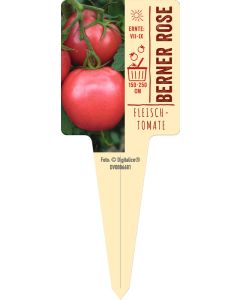 Lycopersicon lycopers. 'Berner Rose', Bildstecketikett VS