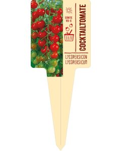 Lycopersicon lycopersicum, Bildstecketikett VS: