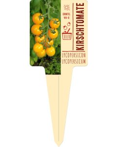 Lycopersicon lycopersicum, Bildstecketikett VS: