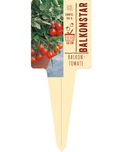 Lycopersicum 'Balkonstar', Bildstecketikett VS: