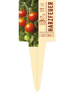 Lycopersicum 'Harzfeuer', Bildstecketikett VS: