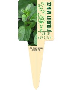 Mentha 'Berries and Cream', Bildstecketikett VS