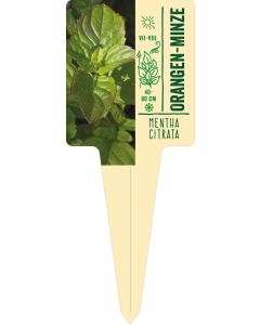 Mentha citrata, Bildstecketikett VS: