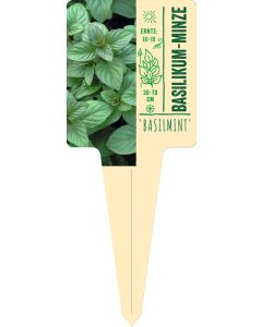 Mentha spec. 'Basilmint', Bildstecketikett VS: