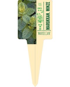 Mentha spicata 'Maroccan', Bildstecketikett VS: