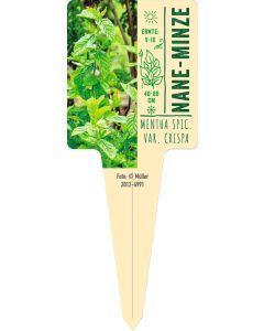 Mentha spic.var. crispa 'Nane', Bildstecketikett VS: