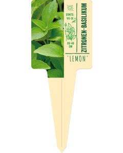 Ocimum basil. 'Lemon', Bildstecketikett VS