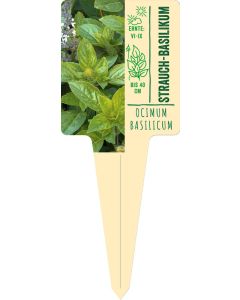 Ocimum basilicum, Bildstecketikett VS