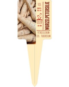 Petroselinum crisp. tuberosum, Bildstecketikett VS