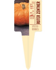 Cucurbita maxima, Bildstecketikett VS: